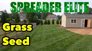 Turf Type Tall Fescue Grass Seed That Does WHAT [upl. by Gaspard307]