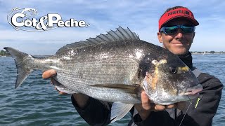 Pêche de la dorade royale avec Yoann Houssais [upl. by Emma]