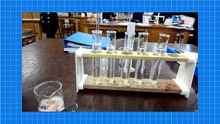 A level Biology ENZYMES REQUIRED PRACTICAL [upl. by Ardiekal]