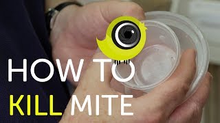 How To Kill Mite  The Canary Room Top Tips [upl. by Akeryt]