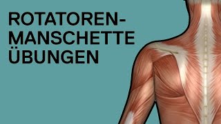 ROTATORENMANSCHETTE ÜBUNGEN ohne Geräte auch gegen Schulterschmerzen [upl. by Gnolb]