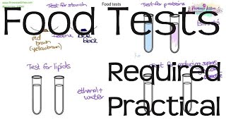 Food Tests  Required Practical Biology GCSE or iGCSE [upl. by Eltsyrhc]