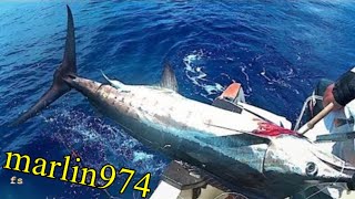 NOTRE PREMIER MARLIN PÊCHE EN MER SEA FISHING à la Réunion Big Fish [upl. by Adigirb6]