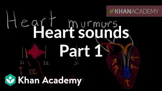 Systolic murmurs diastolic murmurs and extra heart sounds  Part 1  NCLEXRN  Khan Academy [upl. by Pengelly57]