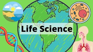 A Year of Life Science in 3 Minutes [upl. by Couture]