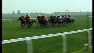 1993 2000 Guineas Stakes [upl. by Joni]