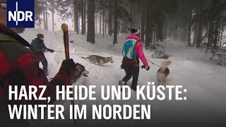 Erlebnis Winterzauber  die nordstory  NDR Doku [upl. by Katine]