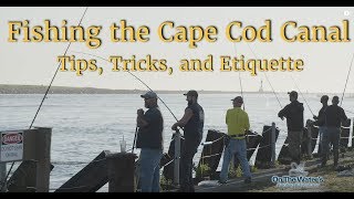 Fishing the Cape Cod Canal  Tricks Tips and Etiquette [upl. by Ahsinom]