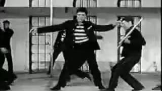 Elvis Presley  Jailhouse Rock Lyrics [upl. by Aruon934]