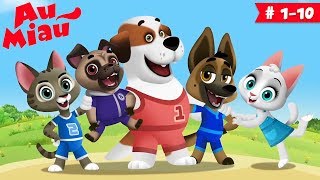 Au Miau 🐶 Desenhos animados em Português  60 minutos [upl. by Ciardap]