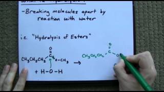 What is Hydrolysis  Examples [upl. by Eilarol]