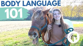 READING HORSE BODY LANGUAGE amp BEHAVIOR [upl. by Ahsropal]