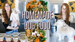 HOMEMADE  HEALTHY DOG FOOD RECIPE  COOKING FOR YOUR DOG🐶 [upl. by Teddie]