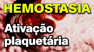 Coagulação Sanguínea  Ativação Plaquetária  Hemostasia [upl. by Hymie760]