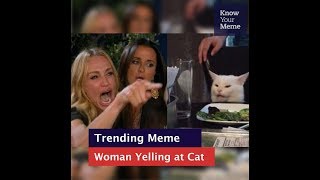 Know Your Meme 101 Woman Yelling at a Cat [upl. by Brianne]