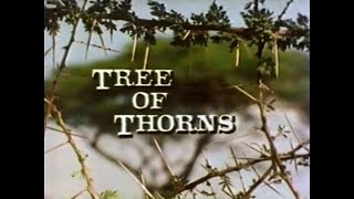 Acacia Tree of Thorns 1983 [upl. by Novaj]