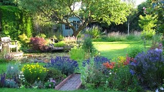 The Cottage Garden in Surrey  An English Country Garden Through the Seasons [upl. by Rauch389]