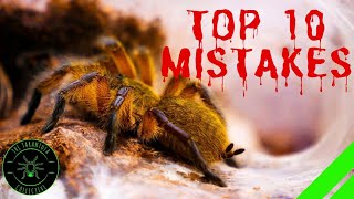 TOP 10 Mistakes Keeping Tarantulas amp Spiders  DONT DO THIS [upl. by Mak]