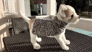 Crochet a dog coat for beginners Any size dog [upl. by Hanavas33]