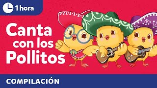 Sing with Los Pollitos  Bilingual Kids Songs in Spanish amp English  Cultural Traditions [upl. by Atinele698]