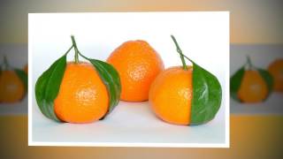 A List of Citrus Fruits With Photos [upl. by Gladi]