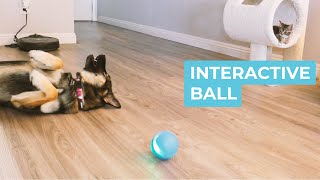 Interactive Ball Review [upl. by Ariak]