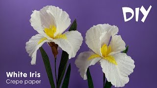 How to make crepe paper flowers  Crepe paper IRIS  DIY Craft tutorials [upl. by Siva]