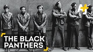 5 Things To Know About The Black Panthers [upl. by Nivra]