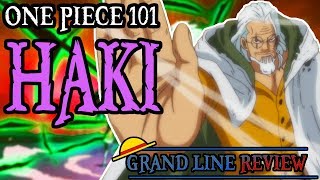 Haki Explained  One Piece 101 [upl. by Marx515]