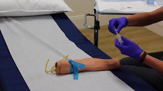 Phlebotomy  Training Video [upl. by Obeng]