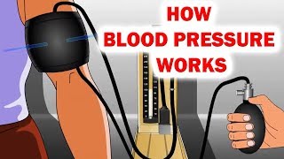 How Blood Pressure Works Animation  Sphygmomanometer  Blood Pressure [upl. by Ahsinawt]