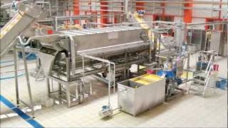 Citrus juice and oil extraction [upl. by Jilly]