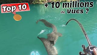 Les 10 Vidéos de Pêche en France LES PLUS VUES [upl. by Atteuqnas]