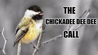 Chickadeedeedee Call [upl. by Ardaed]