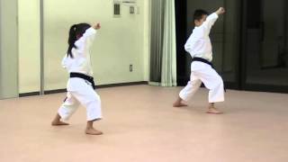 Heian Shodan [upl. by Surtimed]