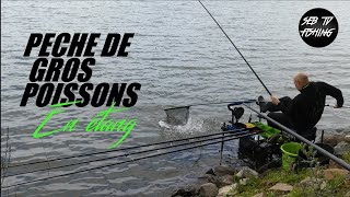 💥PÊCHE des GROS POISSONS en ÉTANG  CANNE au COUP [upl. by Joline]