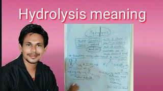 Hydrolysis meaning [upl. by Ailemor]