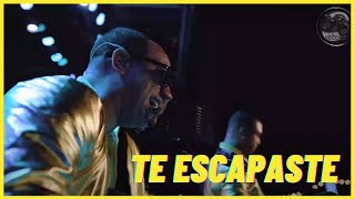 Te Escapaste En Vivo 2020  Maykel Blanco y Su Salsa Mayor [upl. by Sajet]