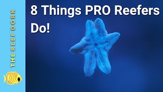 8 Things Experienced Reefers Do That Noobs Dont [upl. by Nayek]