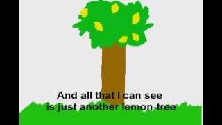 LEMON TREE  Fools Garden with LYRICS [upl. by Amis]