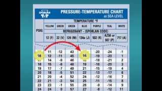 How to Use a PT Chart [upl. by Seften]