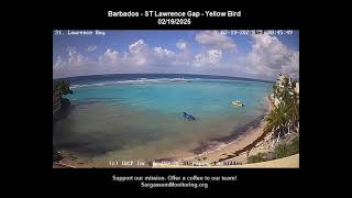 2025 Sargassum Monitoring® Official  Barbados  ST Lawrence Gap [upl. by Leasi]