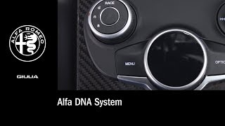 Alfa DNA System  How To  2019 Alfa Romeo Giulia [upl. by Iahc]