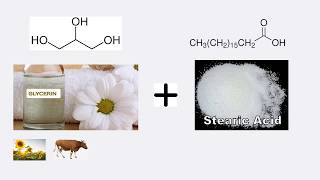 What Is Glyceryl Stearate And Is It Safe To Use [upl. by Hanimay]