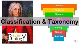 Classification and Taxonomy [upl. by Maccarone]