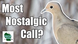 Is THIS the most Nostalgic Bird Call [upl. by Eseerehc650]