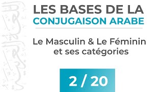 Le Masculin et le Féminin en Arabe  Les Bases de la Conjugaison Arabe [upl. by Philemol593]