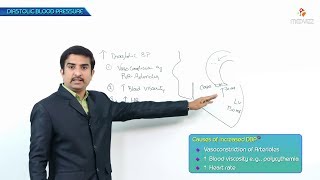 Hypertension Pathology  part 2  Diastolic Blood pressure [upl. by Aihsekin]