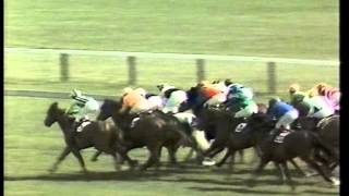 1979 2000 Guineas Stakes [upl. by Anert]