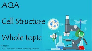 The whole of CELL STRUCTURE AQA Biology or combined science 91 revision for paper 1 [upl. by Moule]